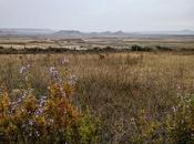 Bardenas Reales