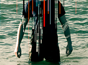 Temporada Programa Dardem Brecha” (2016)