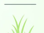 Pokémon vuelve actualizar nuevo radar otro