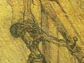 Juan Cruz, poeta Silencio. místico para siglo XXI.