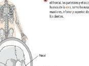Centrar atención hijos estudio forma didáctica dinámica