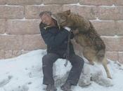 empresario chino gasta millones instalación santuario para lobos