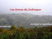 error oido (que libro)