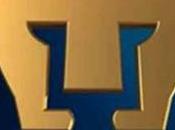 Malas noticias para Pumas, lesiona delantero titular