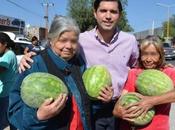 Causa indignación Diputado Gerardo Serrano regale sandías Navidad