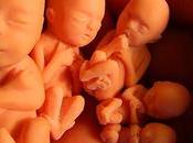 Hoy, santos inocentes, sólo ocurre traer...