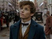 Algunos interrogantes dejó Animales Fantásticos