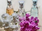 Copias/clones perfumes ¿Seguros?