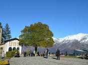 Arrivederci 2016