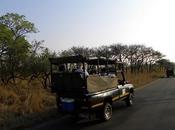 Sudafrica: vida salvaje parque nacional kruger