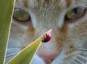 Descubre verdadero poder enfoque