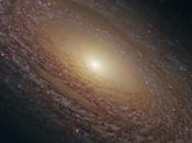 galaxia espiral 2841