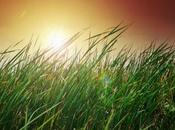 Personalidad: ¿eres estás?