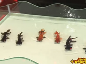 Increíbles trucos magia peces vivos