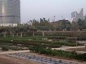 vamos superando, buen camino