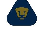 concreta venta Pumas jugador regresara