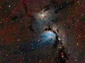 ✨M78 Warren Keller