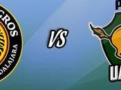 Leones Negros Potros UAEM Vivo Online, Radio Linea, Clausura 2017 Ascenso