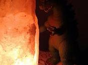 Predicciones profecías dicen futuro llega