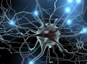 Redes neuronales: quizá cerca cerebro humano