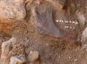 Decenas tumbas restos misterioso cocodrilo fueron encontradas Egipto