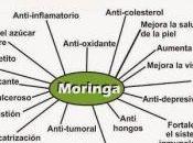 Superalimentos fortalecen sistema inmunológico