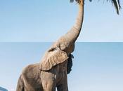 Excelentes fotos sentido