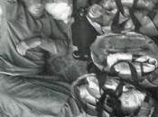 Alicia Martínez Juan: casa, caracol, tienes tumba