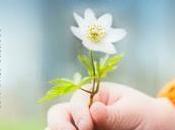 Reseña “Guiar niños Ho’oponopono” Catherine Gremaux-Daviet