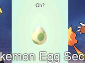 descubre teoría posicionamiento huevos mochila Pokémon