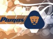 canterano podría Europa