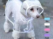 Protege perrito lluvia capas para mascotas