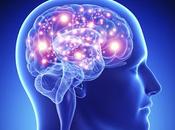 Como cerebro determina importante