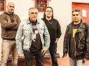 suma formación Leize