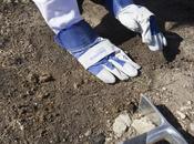 Eurofred desarrolla política medioambiental para compensar emisiones atmósfera