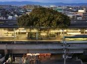 estación tren japonesa construida alrededor árbol años antigüedad