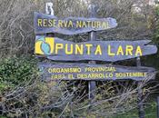 Reserva Natural Punta Lara