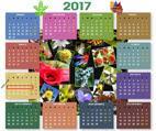 Calendario 2017 sbv_bdv