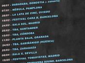 Kokoshca "algo real"