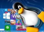 Como crear instalacion Windows desde Linux