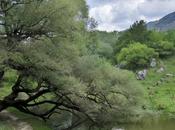 Venerdí Photosatriani