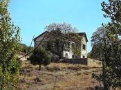 casa piñas