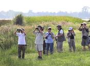 Censo Neotropical Aves Acuáticas (febrero 2017)