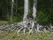 Venerdí Photosatriani