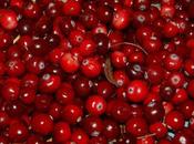 Cranberries. bayas sanas energéticas