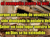 evangelio viral