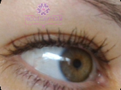 Máscara False Lash Effect Factor