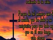 risita oscuridad