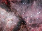 ✨NGC 3372 Daniel Verschatse
