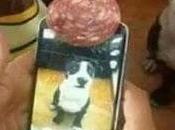 graciosas imágenes mujeres querían sacarse foto perfecta